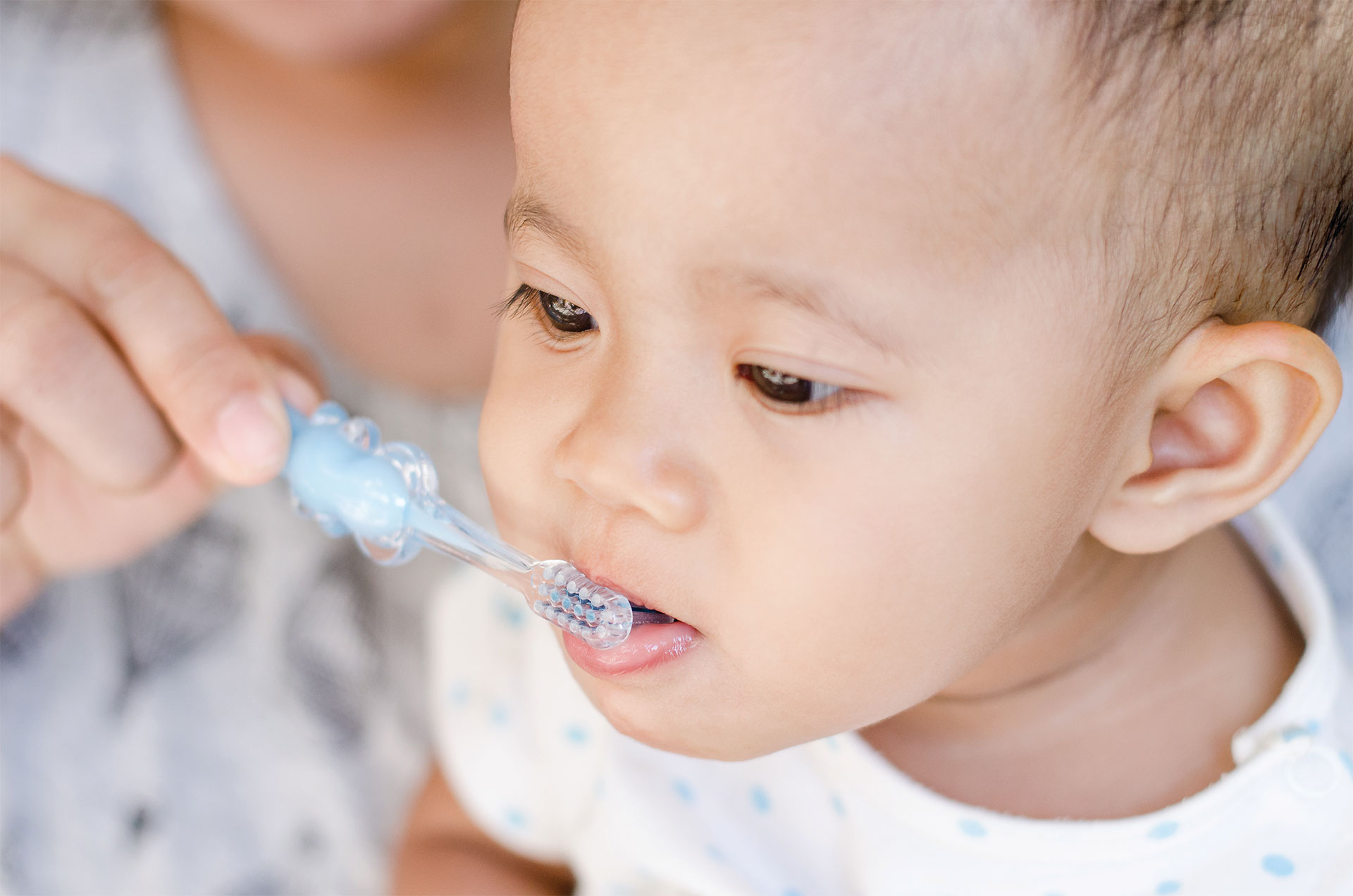 Baby Brushing First Teeth