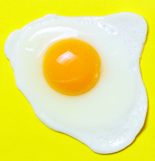 Fried egg on bright yellow background.