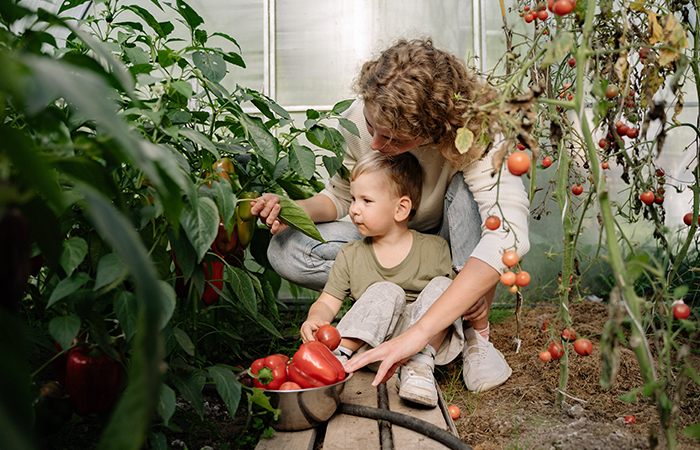 Garden Grow