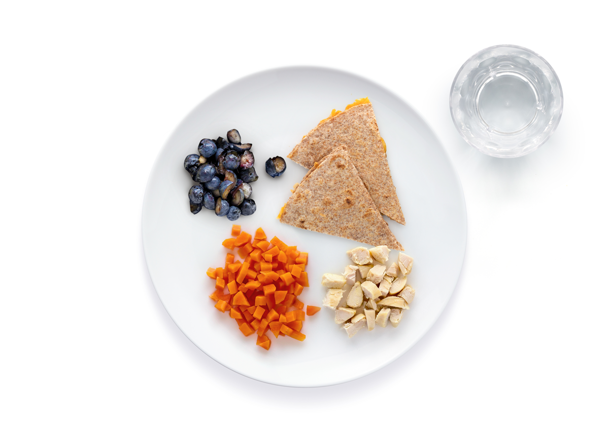 Lunch_quesadilla_carrots_blueberries-chicken