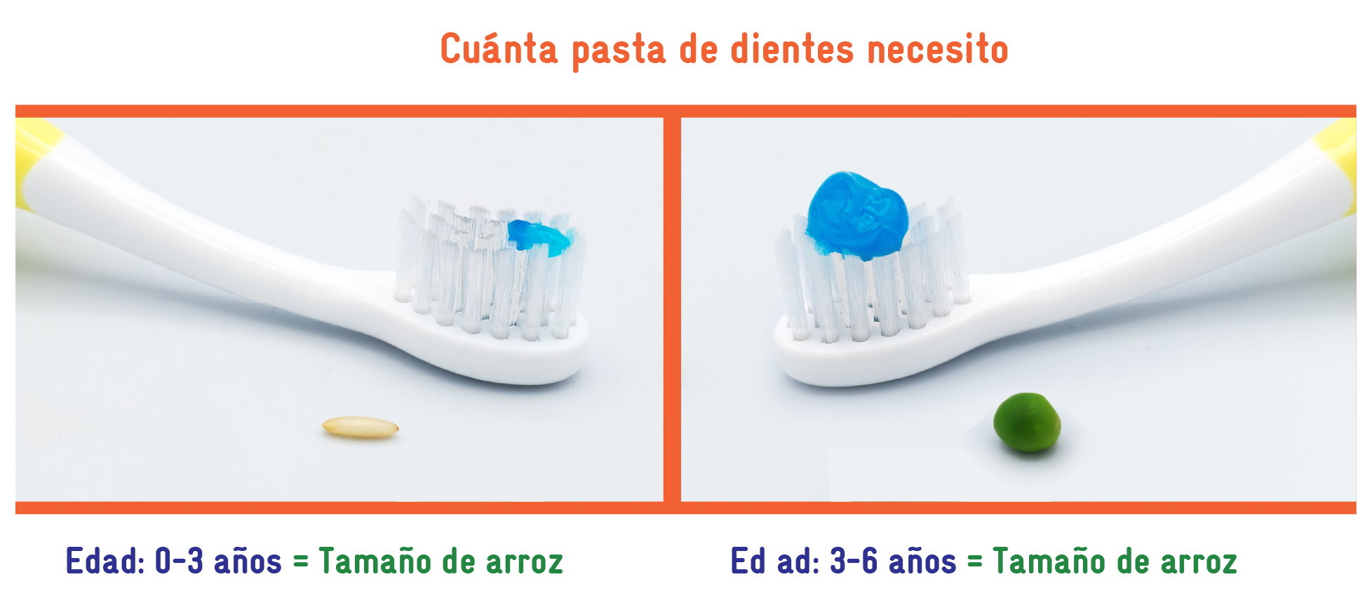 How-much-toothpaste-need